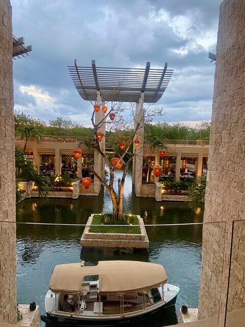 Lantern tree at Banyan Tree Mayakoba at night