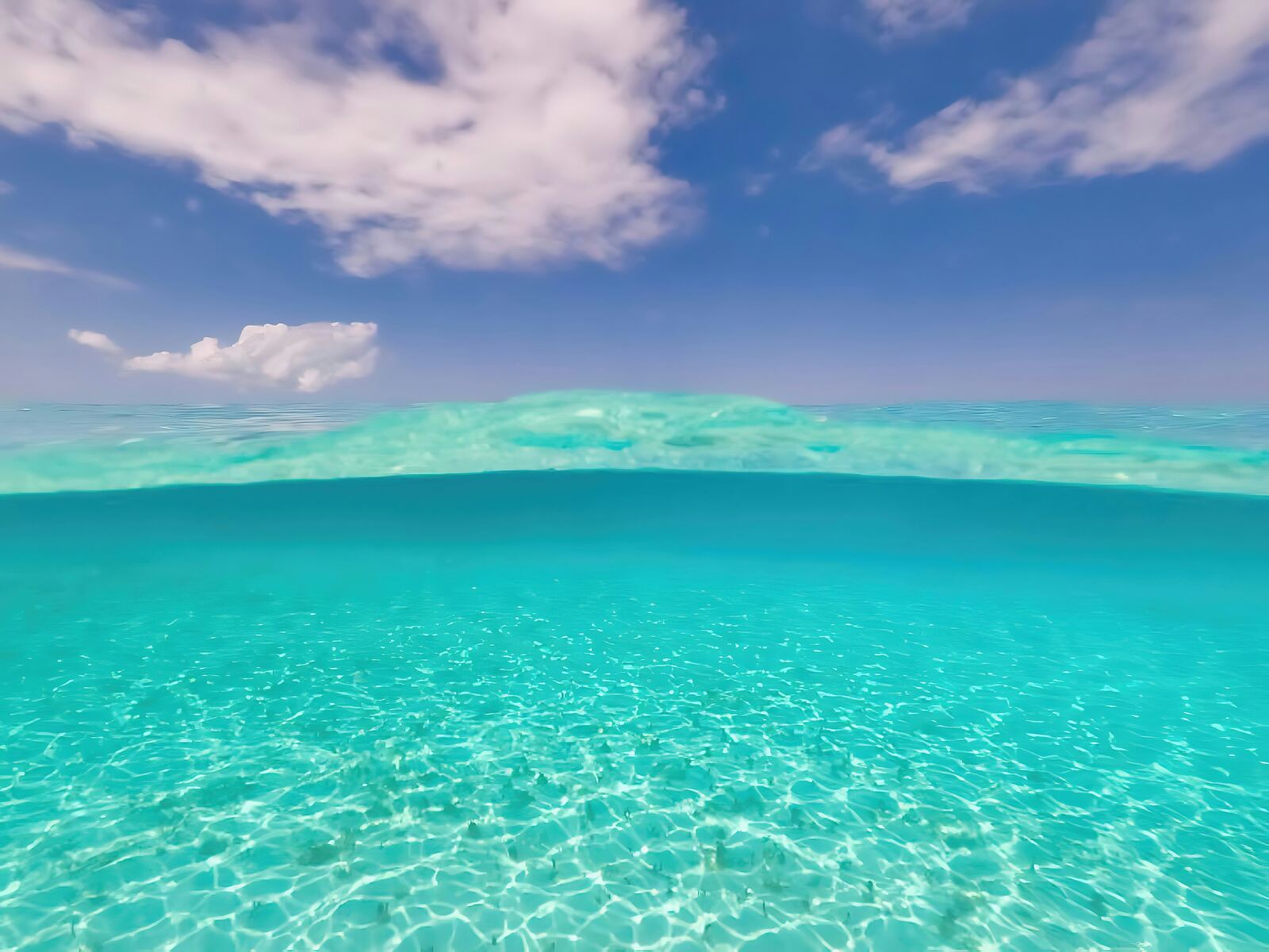 Crystal clear turquoise water, Turks and Caicos